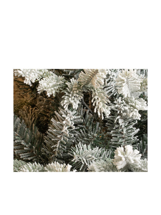 Christmas Tree Grimshaw Snowy Christmas Tree Grimshaw Snowy