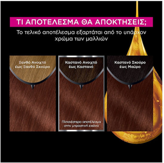 Garnier Olia Βαφή Μαλλιών Χωρίς Αμμωνία 5.5 Ακαζού Μαονί 60gr