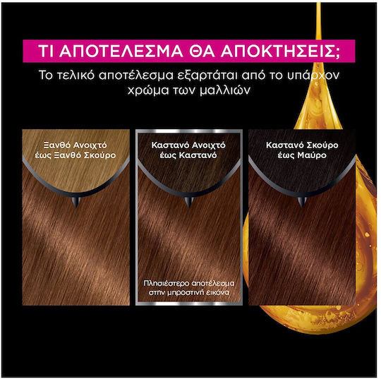 Garnier Olia Βαφή Μαλλιών Χωρίς Αμμωνία 6.35 Ξανθό Σκούρο Καφέ 60gr