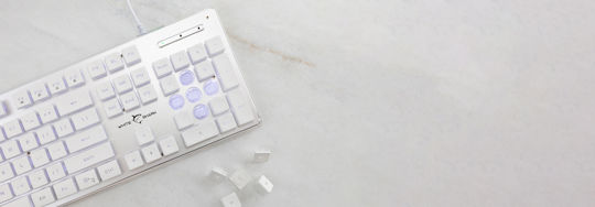 White Shark Tachi Gaming Keyboard with Illuminated keys (English US) Silver / White