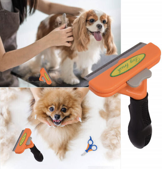 Cat Brush