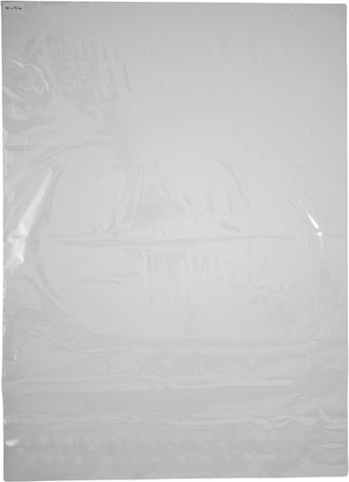 Food Packaging Bag L35xW20cm