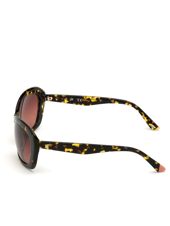 Web Sunglasses with Acetate Frame Web Sunglasses with Acetate Frame