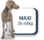 Royal Canin Maxi Adult 18kg Dry Food Gluten-Free for Adult Large Breed Dogs with Poultry, Rice and Pork