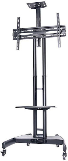 Focus Mount Fixed T639 Βάση Τηλεόρασης Δαπέδου έως 65" και 70kg
