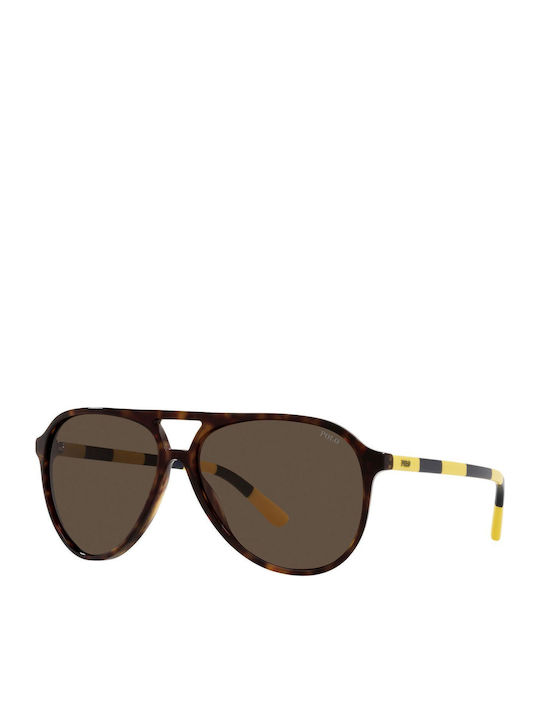 Ralph Lauren Sunglasses Brown with Acetate Frame & Brown Lens Ralph Lauren Sunglasses Brown with Acetate Frame & Brown Lens