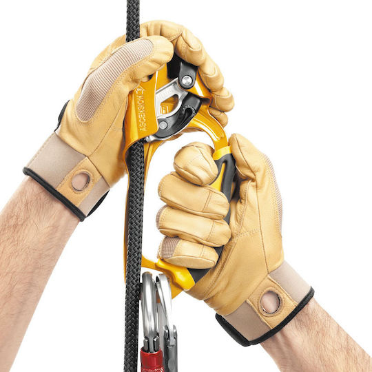 Petzl Ascension Pro Frână De Ancorare B17ALA