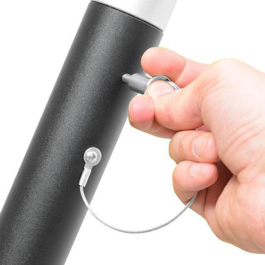 Kong 4d Pole
