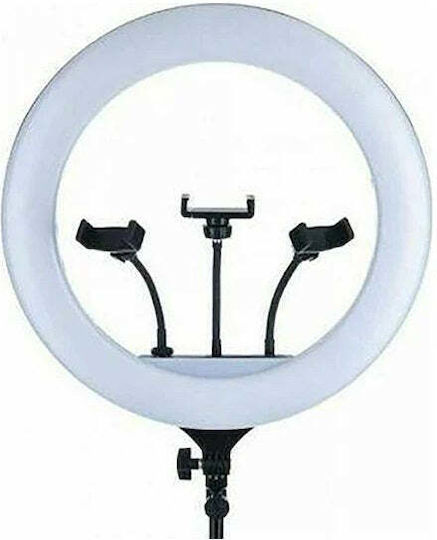 Lumină Inelară 44cm