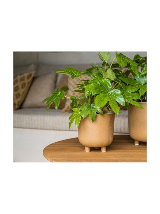 Alexandra House Living Decorative Vase Beige 18x18x18cm