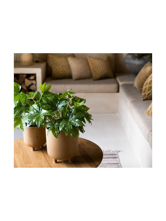 Alexandra House Living Decorative Vase Beige 18x18x18cm