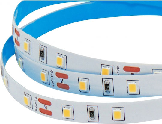 Wellmax LED Strip 24V Natural White Light 5m Type SMD3528