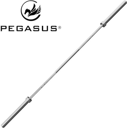 Pegasus Gerade Olympia-Style Stangengewicht Φ50 20kg Länge 220cm mit Sicherheitskragen