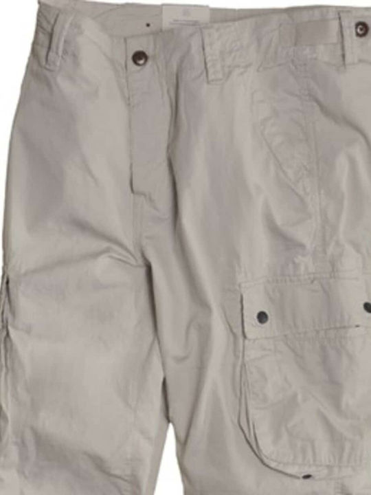 Aigle