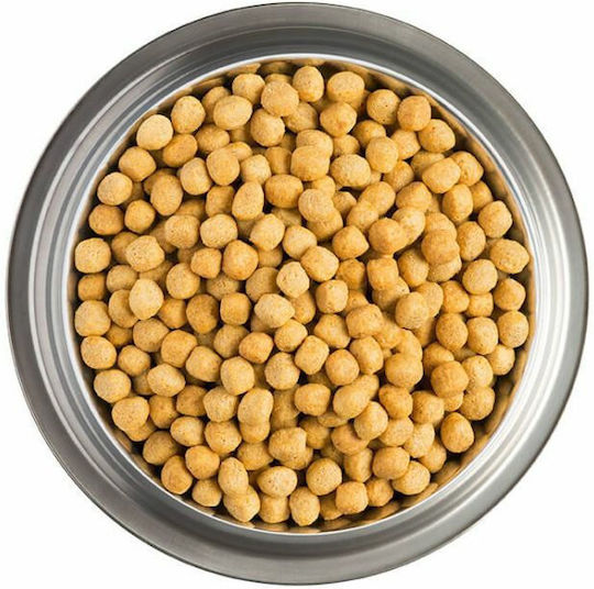 Pro Plan Veterinary Diets OM Obesity Management 3kg Dry Food Diet, Gluten-Free for Adult Dogs with Poultry