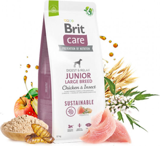 Brit Care Junior Large Breed Sustainable 12kg Trockenfutter ohne Gluten für Welpen großer Rassen mit Huhn