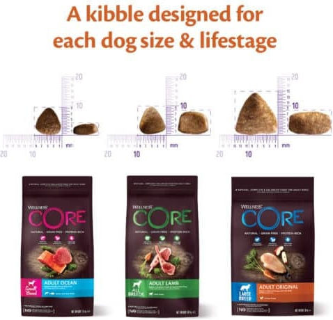 Wellness Core Adult Lamb 10kg Ξηρά Τροφή χωρίς Σιτηρά για Ενήλικους Σκύλους με Αρνί