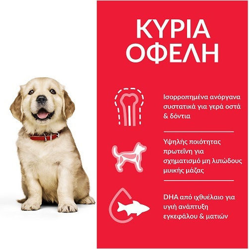 Hill's Science Plan Puppy 14.5kg Hrană Uscată pentru Căţei de Rase Mari cu Pui