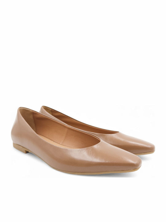 Rolling Steps Shoes