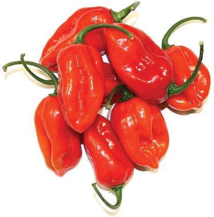 Πάπρικα Έξτρα Καυτερή Habanero 100 Γρ