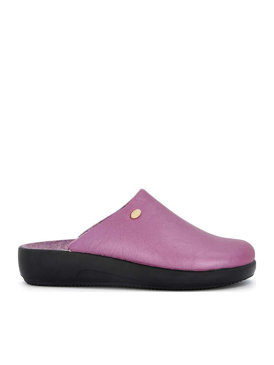 Scholl Scholl