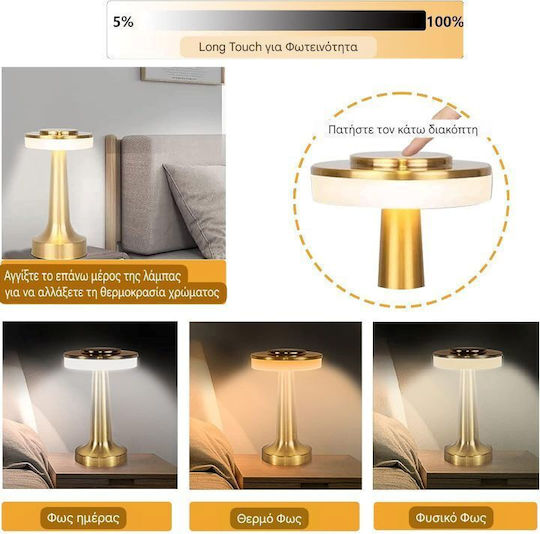 Metallic LED Lamp Warm to Cool White Metallic LED Lamp Warm to Cool White