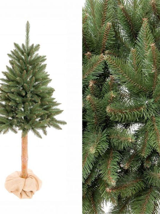 Christmas Tree 160cm in Pot