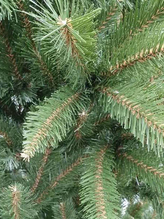Christmas Tree 160cm in Pot