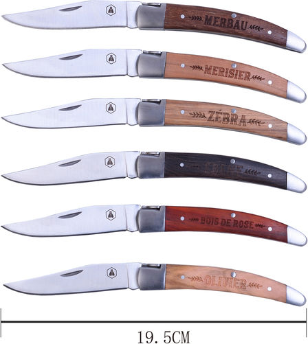 Set of 6 Laguiole Knives