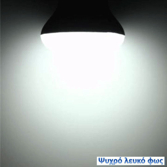 Atman LED Bulb 8W 104mm for Socket E27 and Shape R63 Cool White 720lm