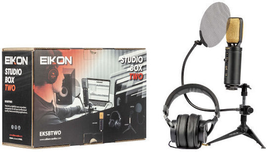 Eikon EKSBTWO Kondensatormikrofon USB Tischplatte