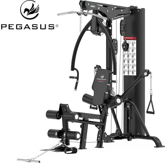 Pegasus HG8 Πολυόργανο Γυμναστικής με Βάρη 90kg