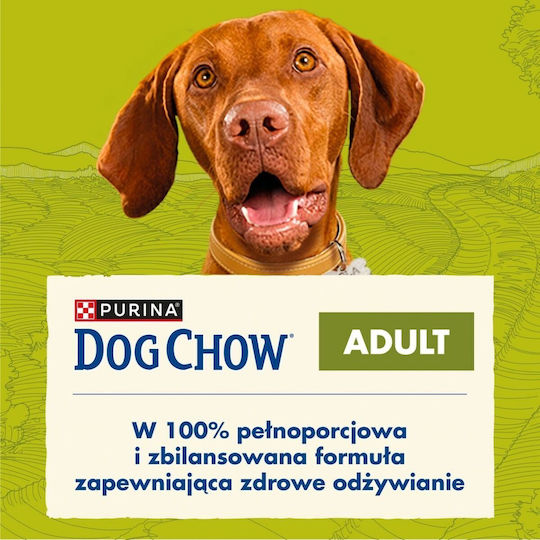 Dog Chow 16.5kg Dry Food for Adult Dogs with Lamb