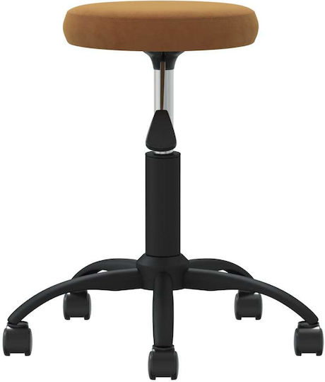 vidaXL Medical Stool Brown 3085736