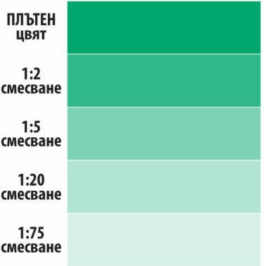 Casa Bella Green Colorant 200 Ml Coloring White Paint Green Color Interior Exterior Use