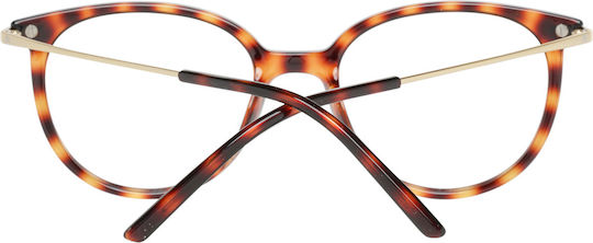 Rodenstock R5312 D