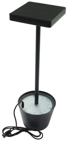 Dekorative Lampe