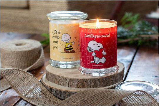 Peanuts Snoopy and Woodstock Ароматна Свещ Lieblingsmensch Буркан 250гр 1бр