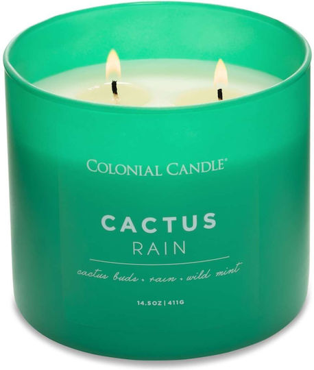 Κερί Αρωματικό 3 Φυτίλια Γυάλινο Δοχείο Cactus Rain 411 Γραμ Pop Color Κερί Αρωματικό 3 Φυτίλια Γυάλινο Δοχείο Cactus Rain 411 Γραμ Pop Color