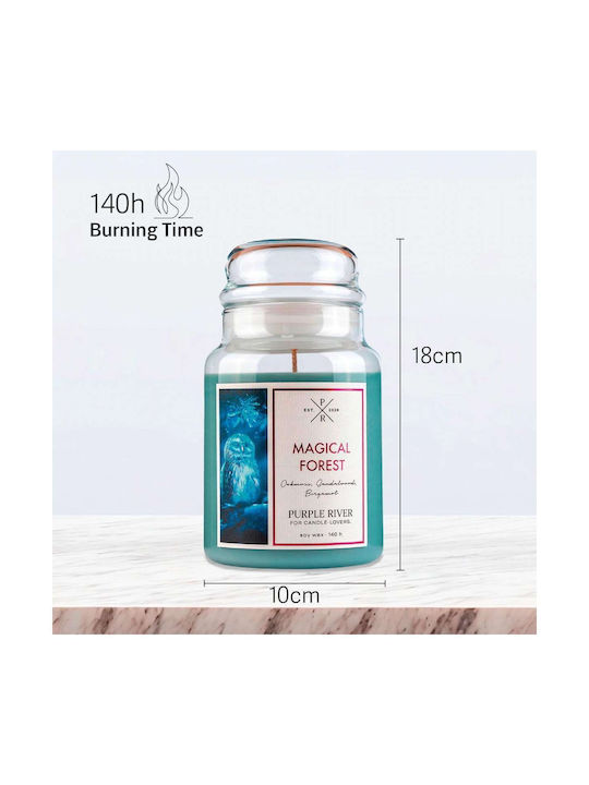 Purple River Αρωματικό Κερί Σόγιας σε Βάζο Πράσινο 623gr