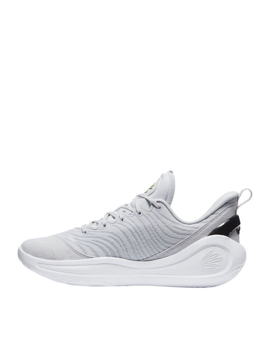 Curry 12 Low Basketball Shoes Gray