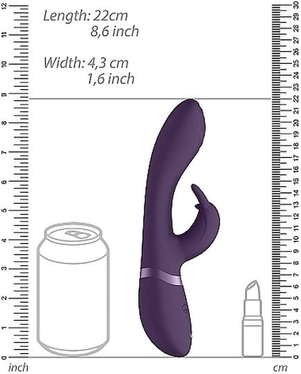 Vive Cato Δονητής Rabbit 21cm Purple