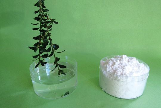 Τεχνιτές Νιφάδες Deco Snow Sticky 50gr