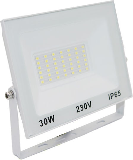 Adeleq Στεγανός Προβολέας LED 30W Θερμό Λευκό 3000K IP65