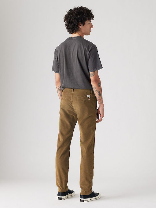 Xx Hose Chino Camel