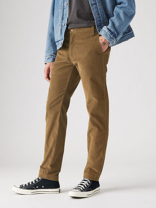 Xx Hose Chino Camel