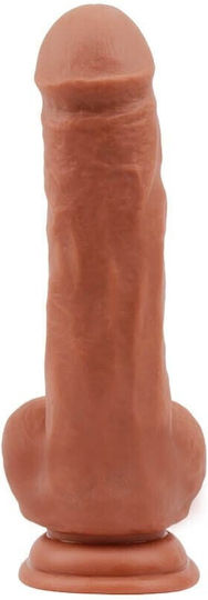Chisa Novelties Bottomless Pleasure Ρεαλιστικό Dildo με Όρχεις και Βεντούζα Latin 20cm