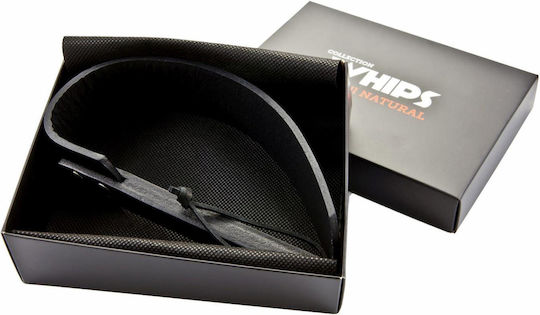 Whips Collections Paddle in Schwarz Farbe
