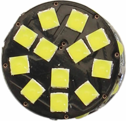 Car Lamp Canbus LED 6000K Cold White 12-24V 19W