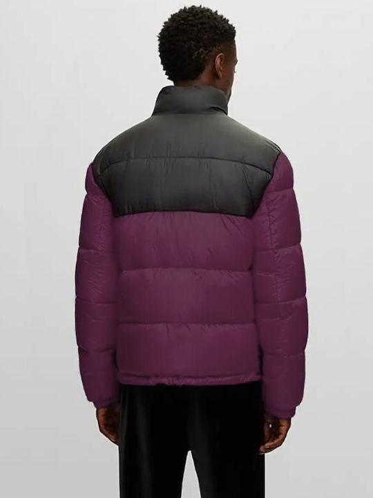 Hugo Boss Jacket Puffer Black/Purple